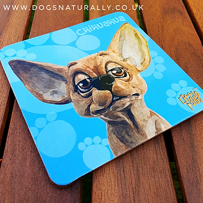 Chihuahua Fun Gift Coaster